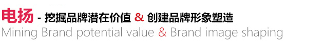 天津電揚(yáng)數(shù)碼科技有限公司