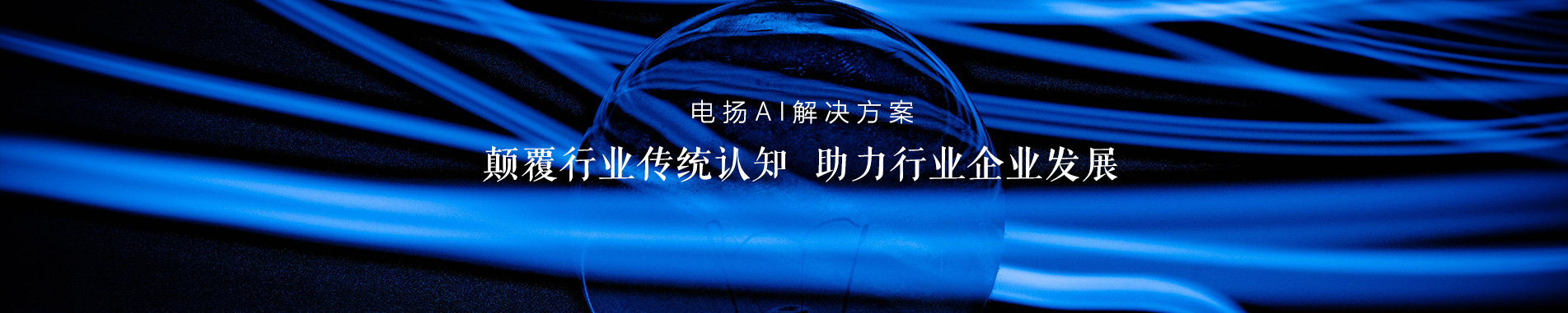 天津電揚數(shù)碼科技有限公司